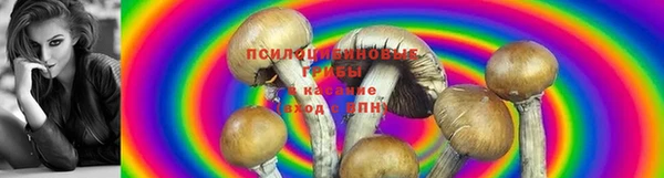 ГАЛЛЮЦИНОГЕННЫЕ ГРИБЫ Алзамай