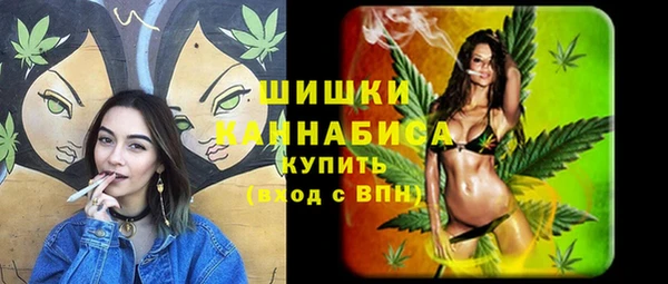 spice Покачи