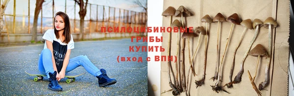 прущие грибы Покров