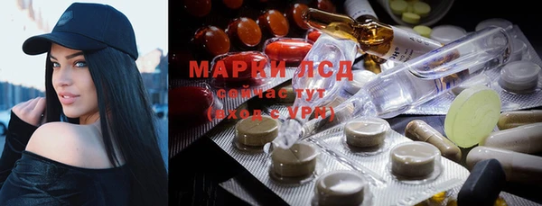ГАЛЛЮЦИНОГЕННЫЕ ГРИБЫ Алзамай