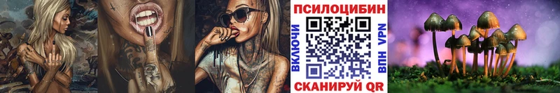 Псилоцибиновые грибы Psilocybine cubensis  магазин продажи   Тында 