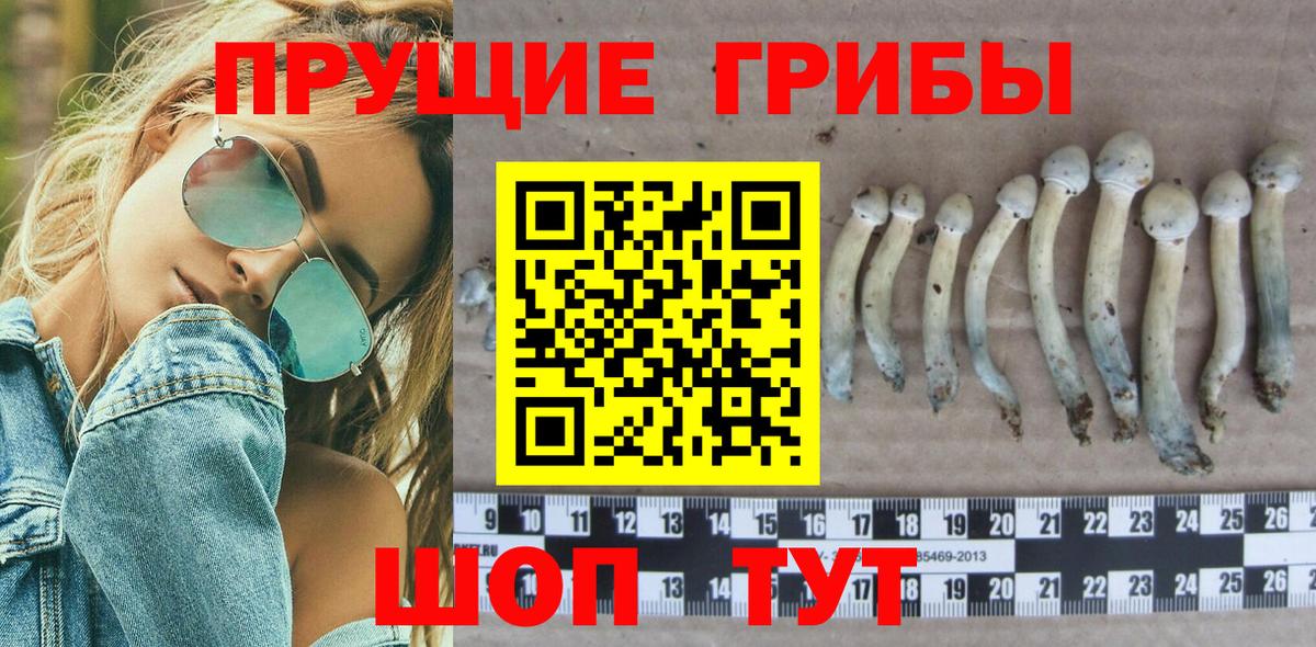 Бошки Шишки  Тында  ЭКСТАЗИ  Меф МЯУ МЯУ   МЕТАДОН  Вход с VPN  Кокаин  APVP СОЛЬ  